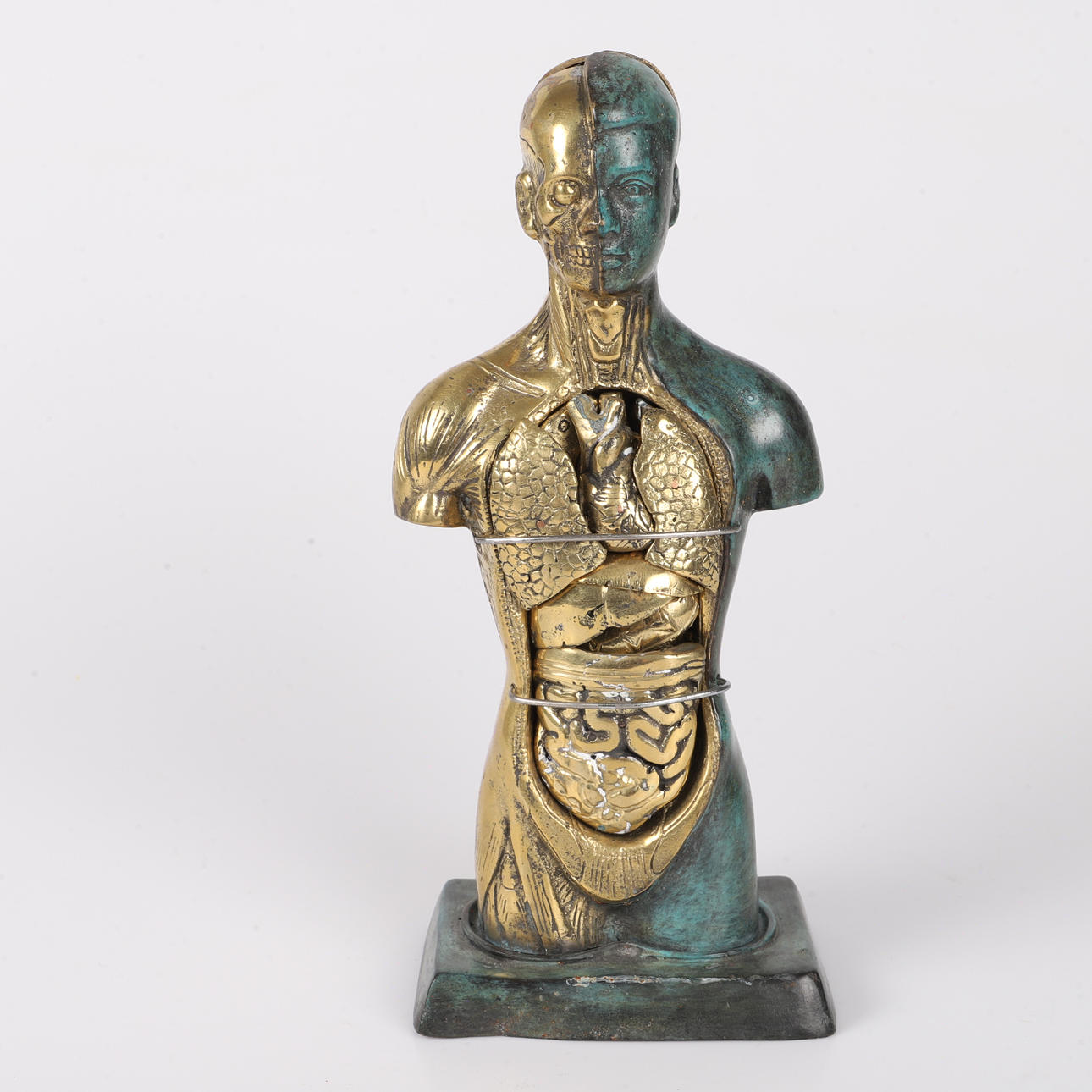 SKULPTUR, anatomisk figur, bronze.