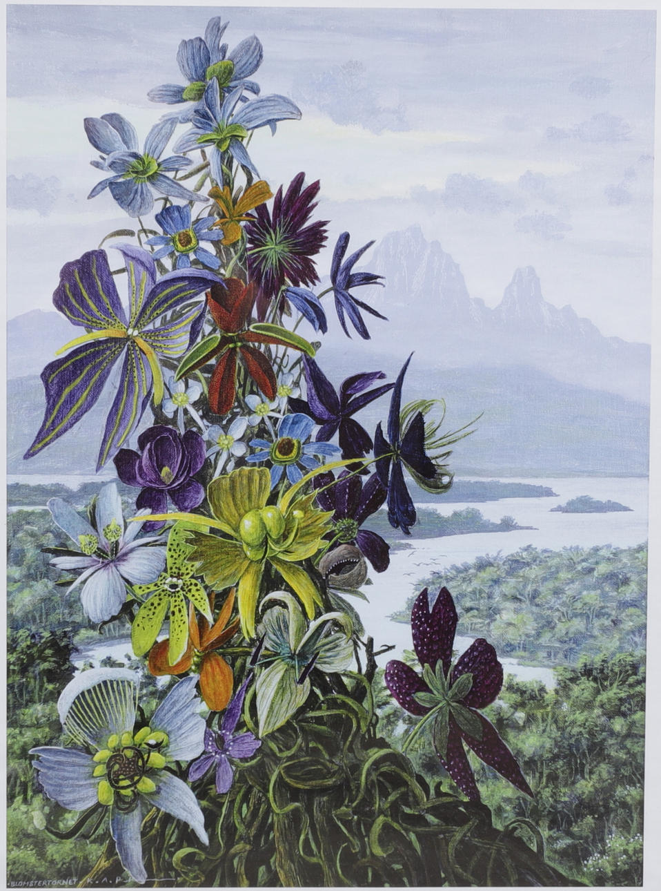 KARL-AXEL PEHRSON. FLOWERS, poster.