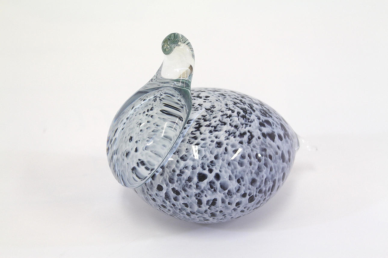 FIGURE, lasilintu, MERI LASI.