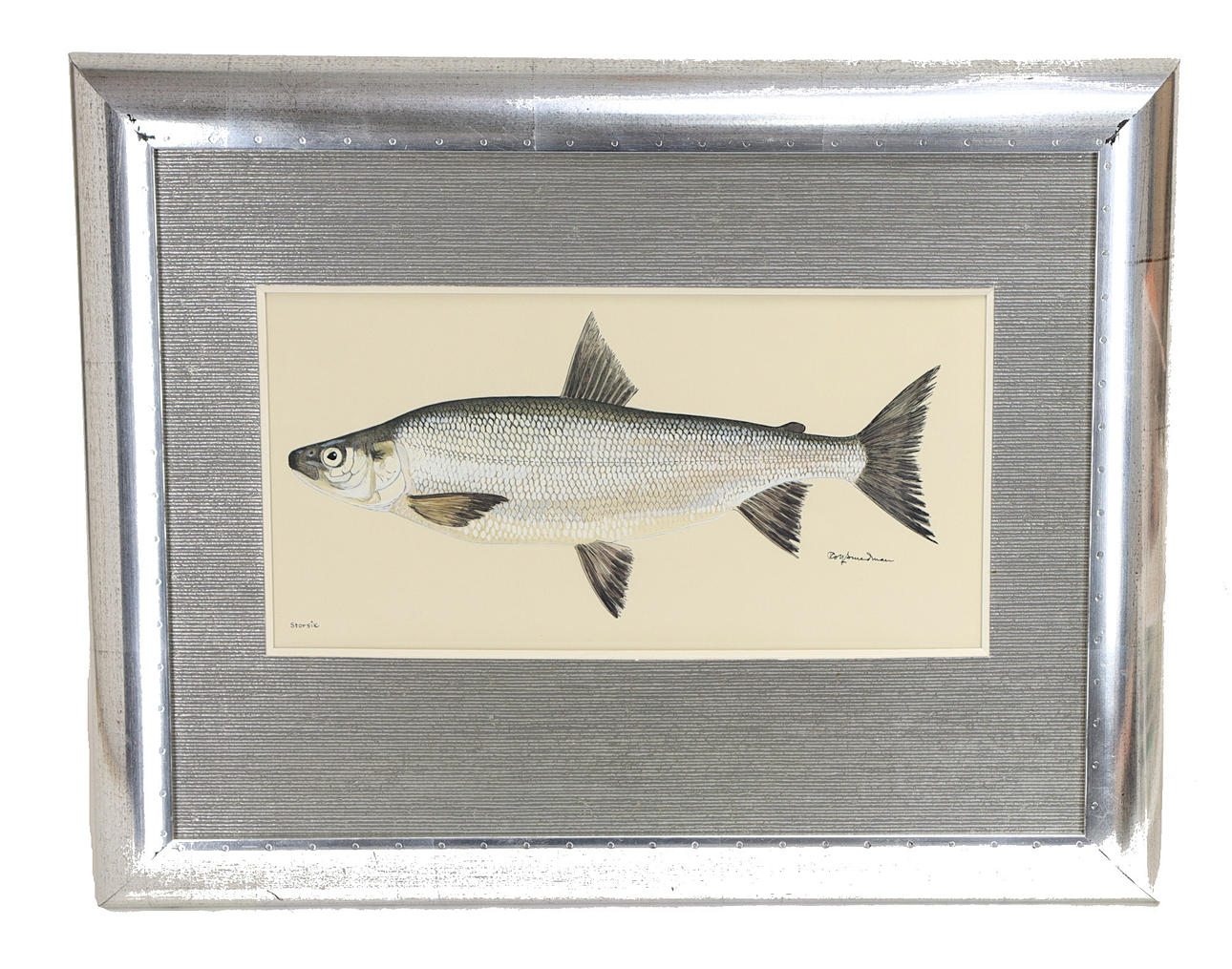 ROLF SMEDMAN, STORSIK.