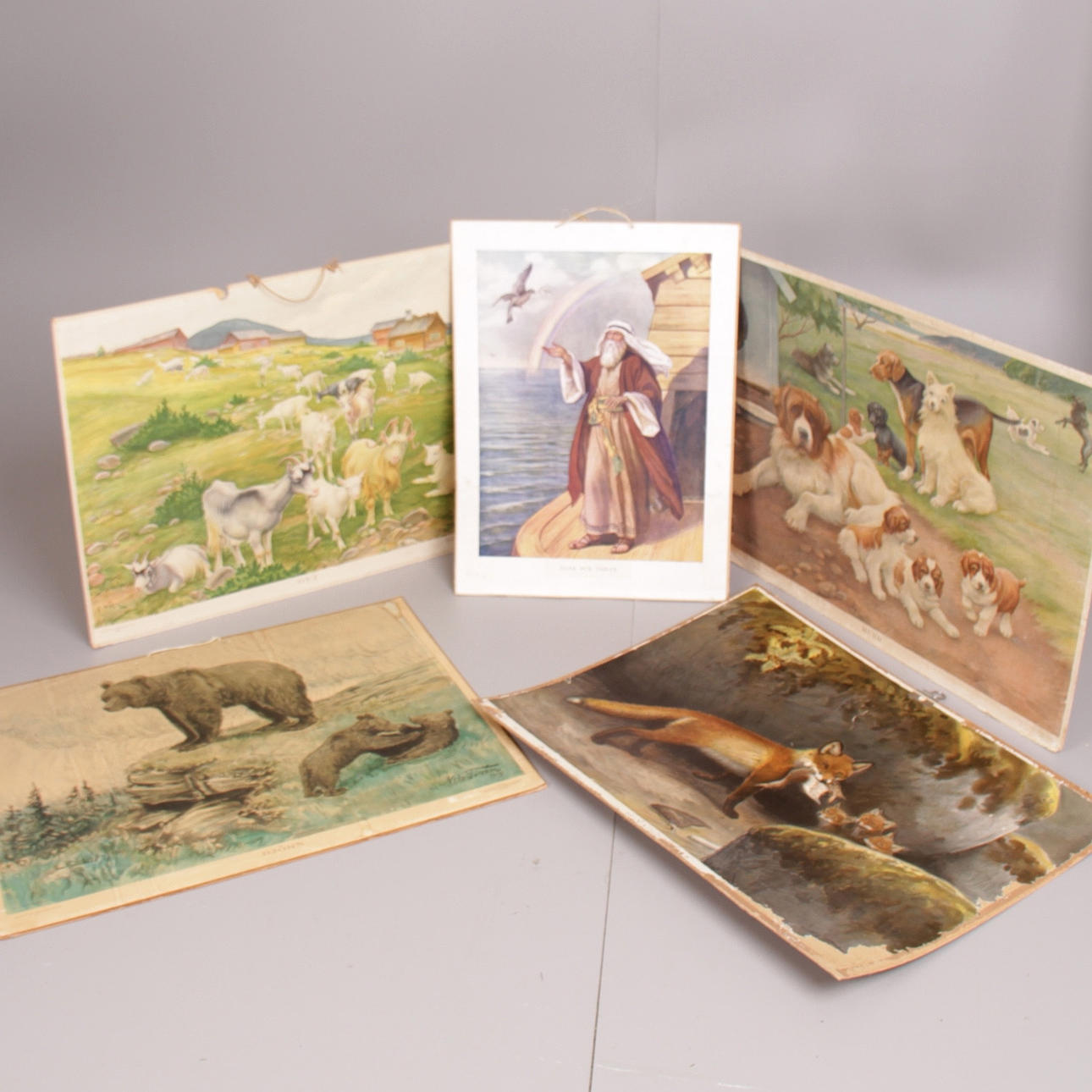 SKOLPLANSCHER, 5 st. Svenska djur, delvis P A Norstedt och söners förlag, Stockholm.