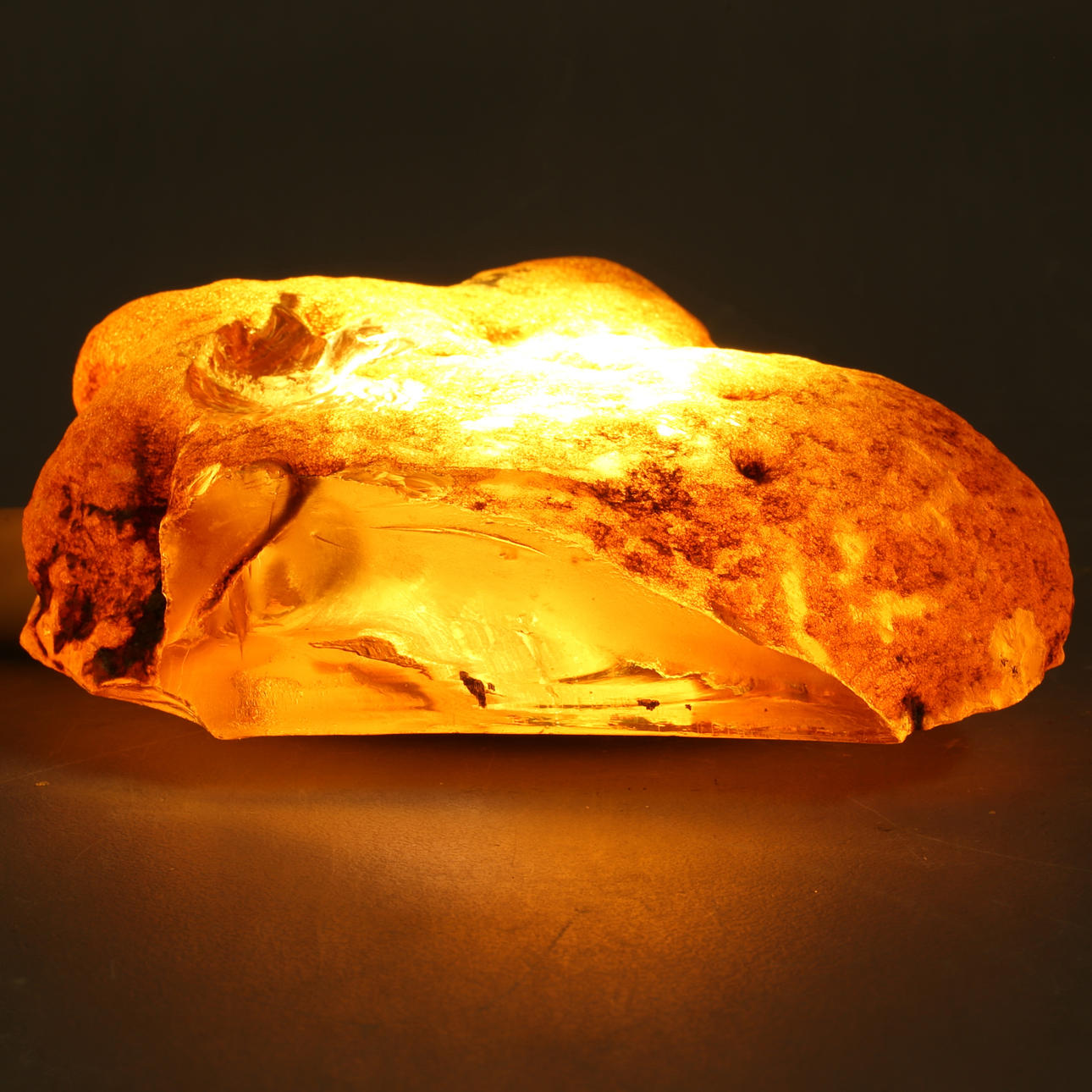 ÁMBAR, insecto total 616 gramos.