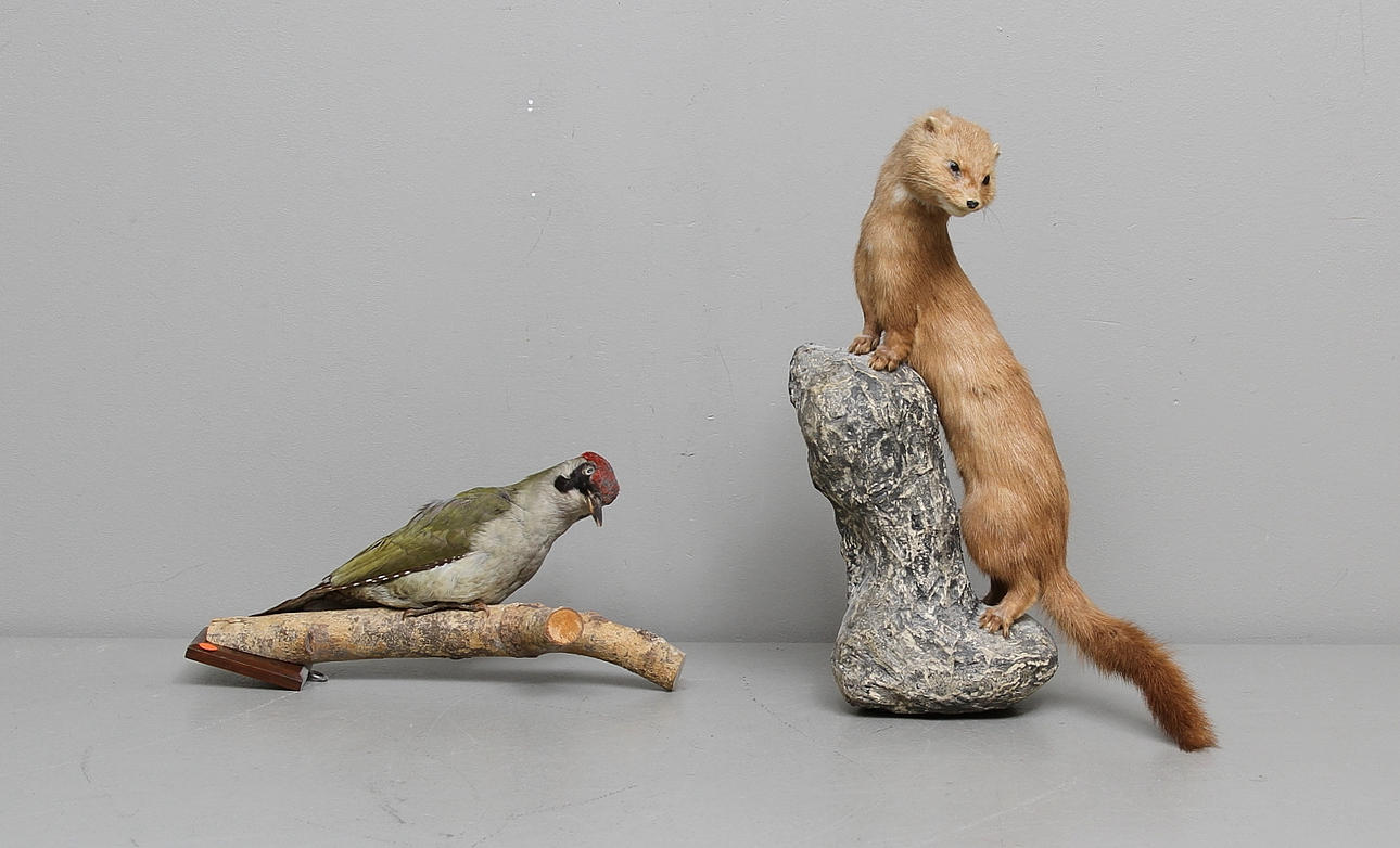 UPPSTOPPADE DJUR, 2 st.