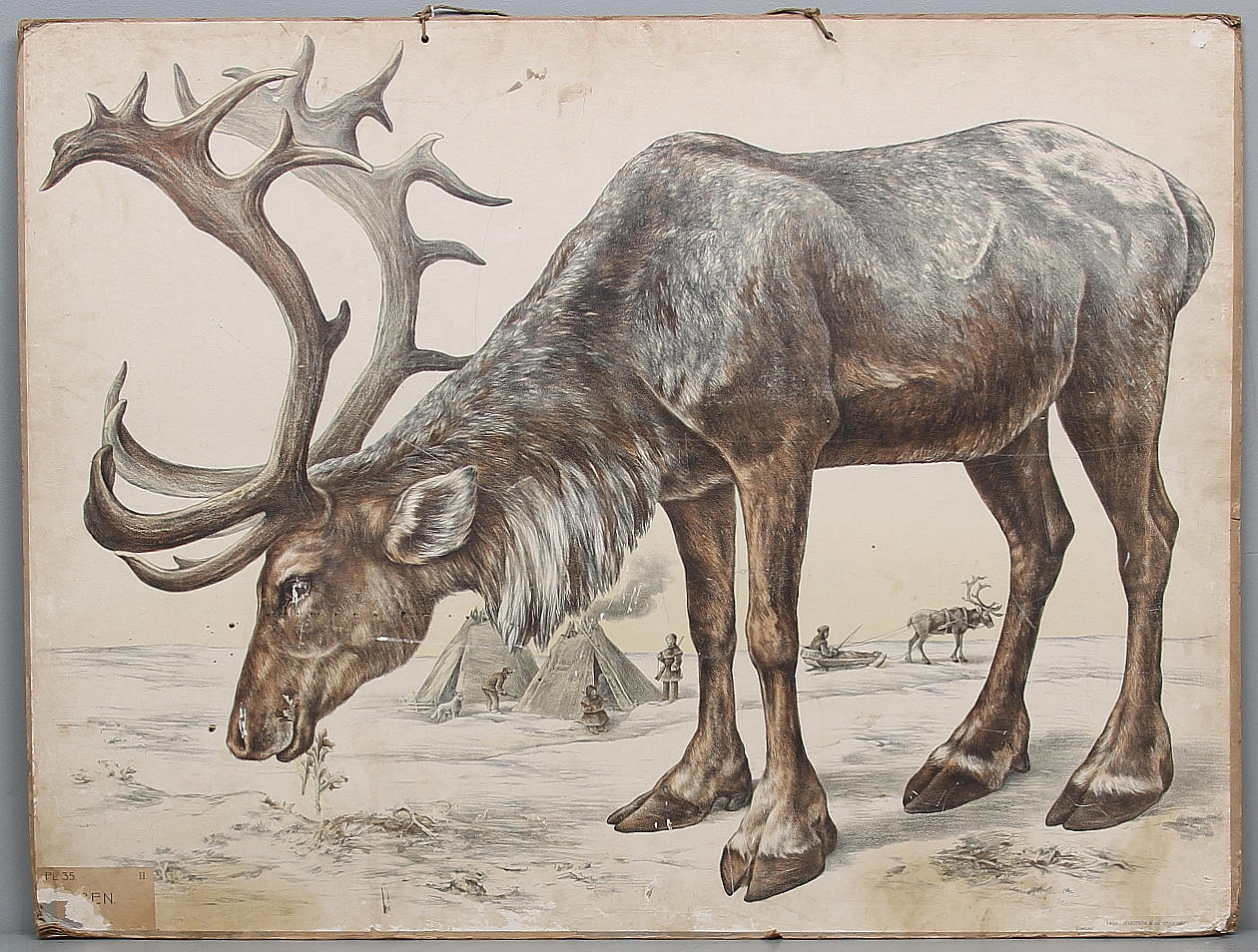 SKOLPLANSCH. Ren. Svanström & Co, Stockholm.