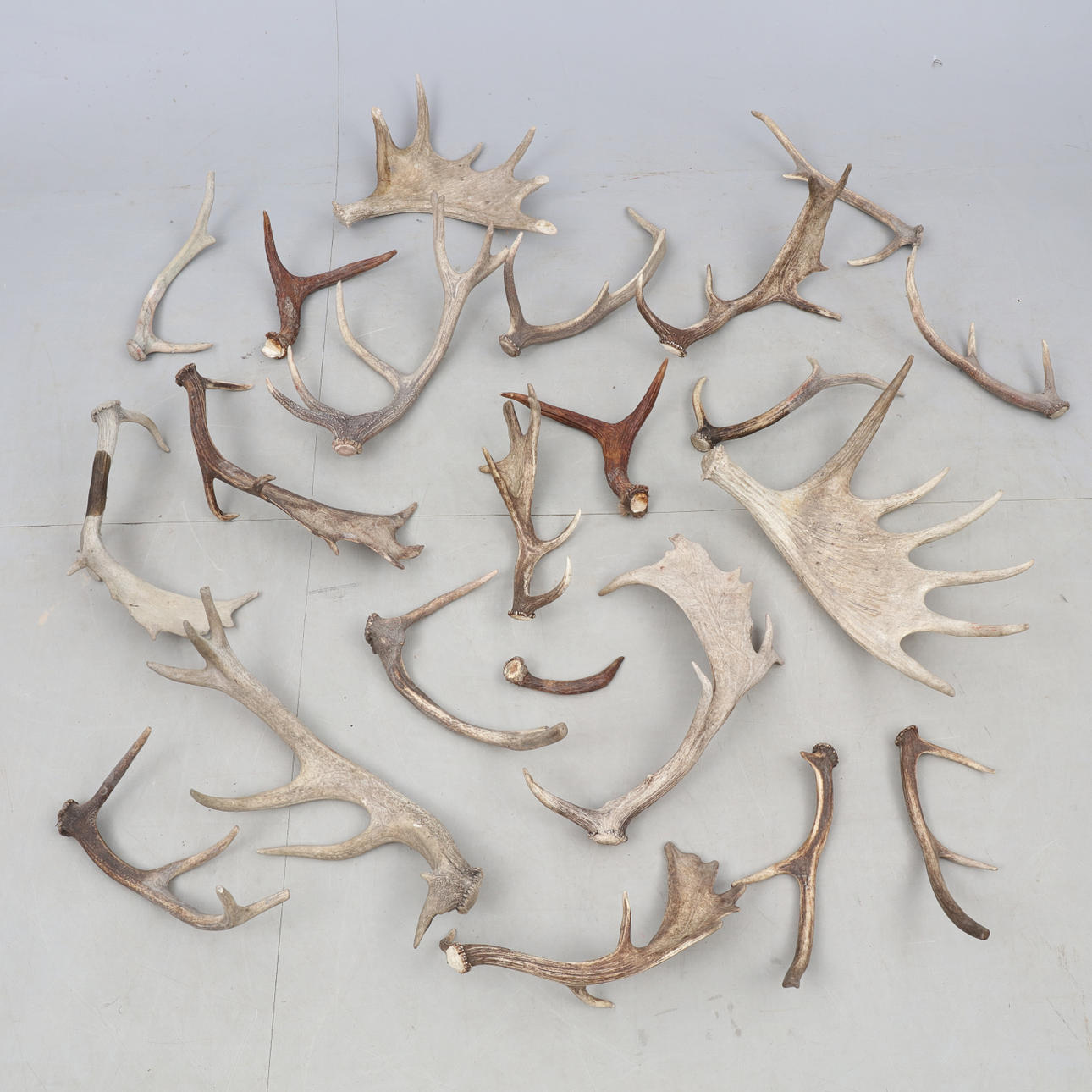 Erä TORVI. 22 tuotetta, sis. Hirvi.