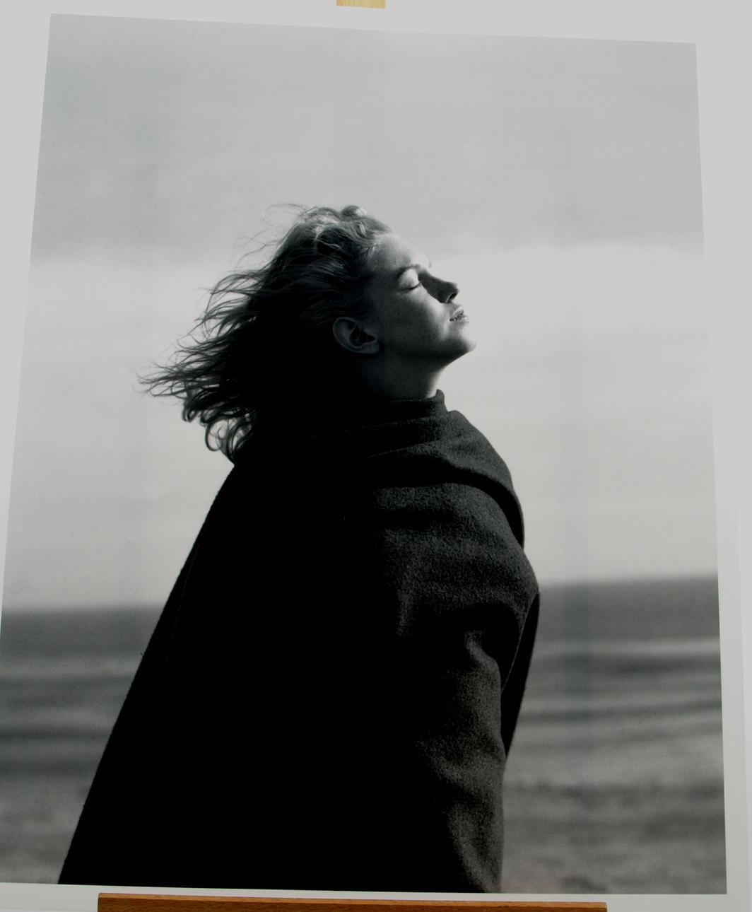 ANDRÉ DE DIENES. Efter, fotografi, Marilyn Monroe, One West Publishing.