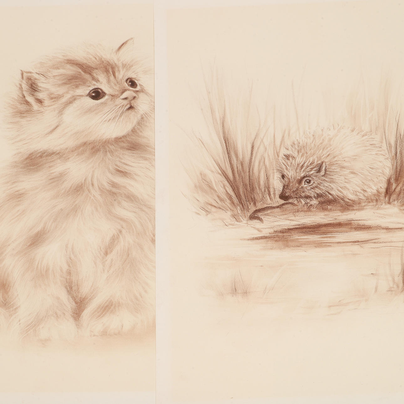 CARL JULIUS. Hedgehog and cat, 2 drawings, signed C. Julius.