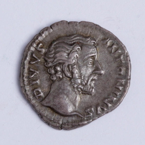 MYNT, silver, denar, Antoninus Pius 138-161 e.kr.