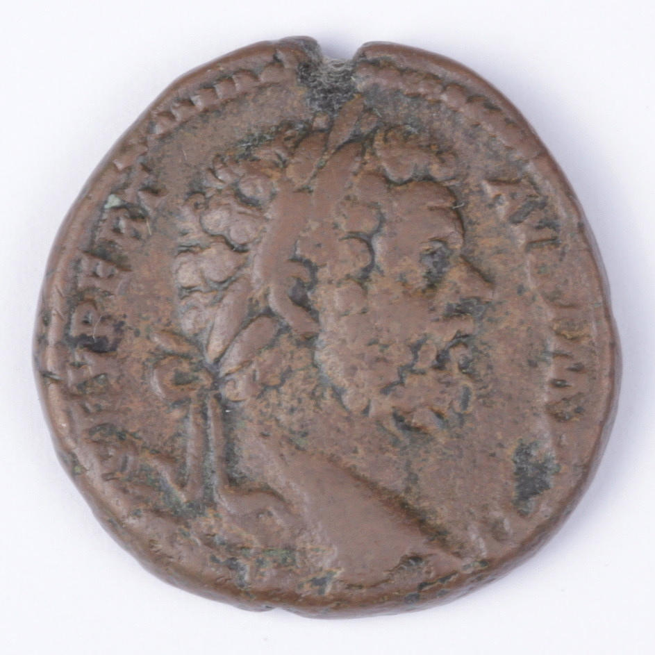MYNT, brons, as, Septimus Severus 193-211 e.kr.