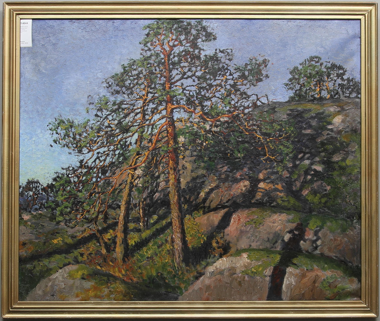 BIRGER HJELM. Solbelysta tallar, olja på duk, signerad B. Hjelm.