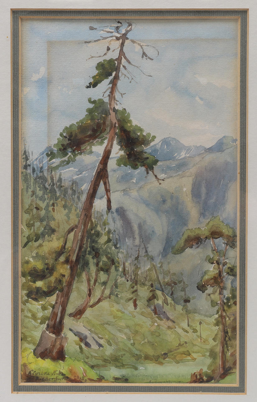 OIDENTIFIERAD KONSTNÄR, Alplandskap.