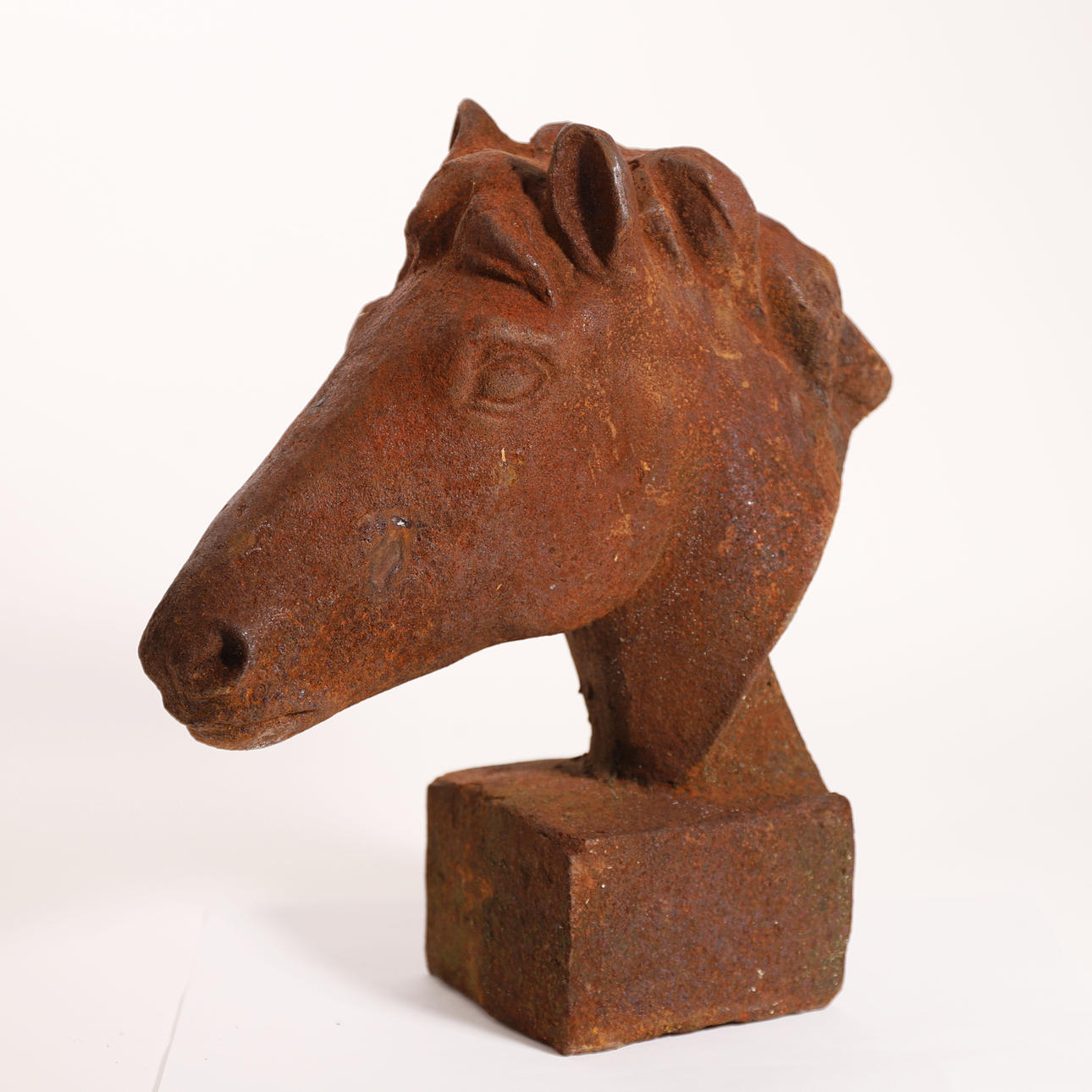 ANÓNIMO SIGLO XX. HESTEHOVED, rustent jern.