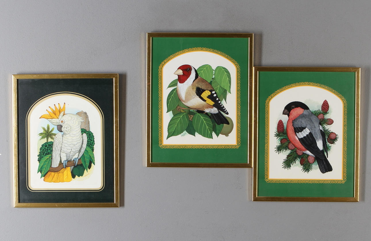 FOLKE HALLIN. 3 st, Fågelstudier, blandteknik, signerade.