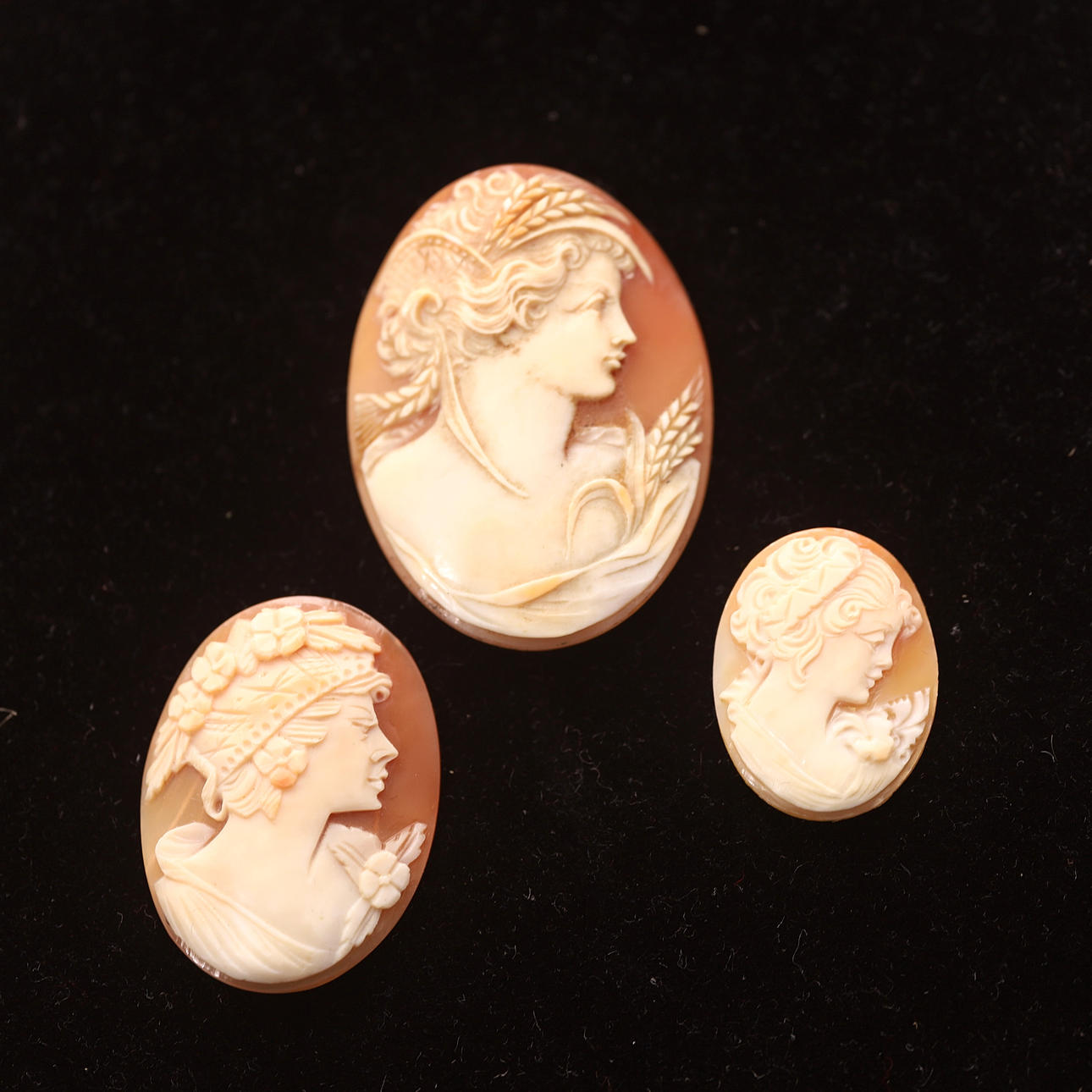 TRES CAMAFEOS, concha tallada, siglo XIX.