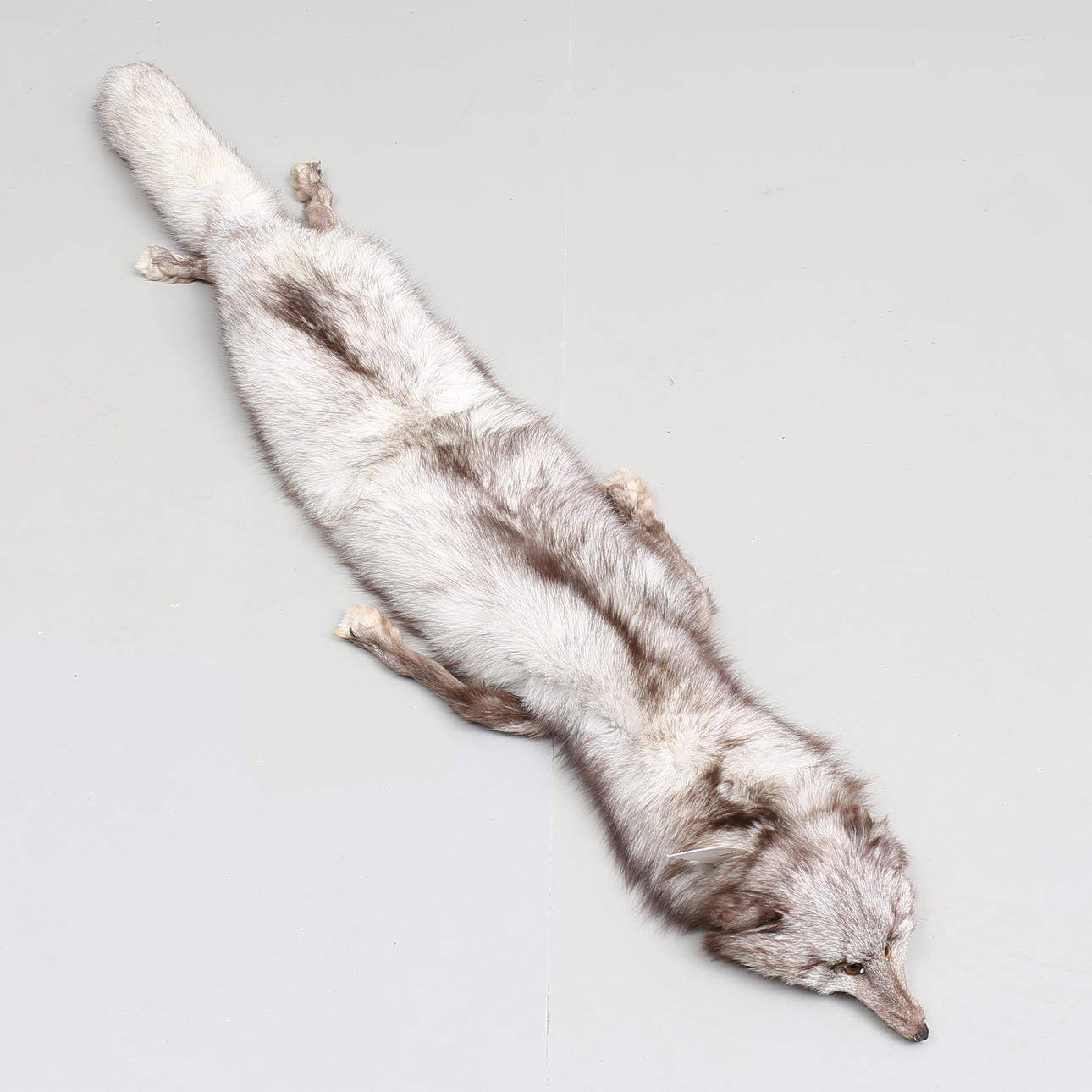 BOA, räv, 1900-tal.