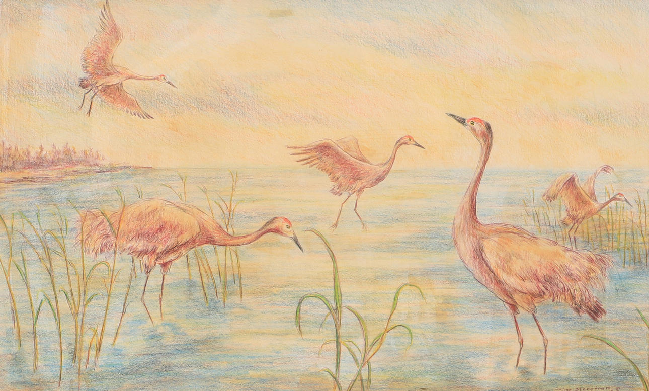 JOHAN STENSTRÖM. Tranor, teckning, signerad -81.