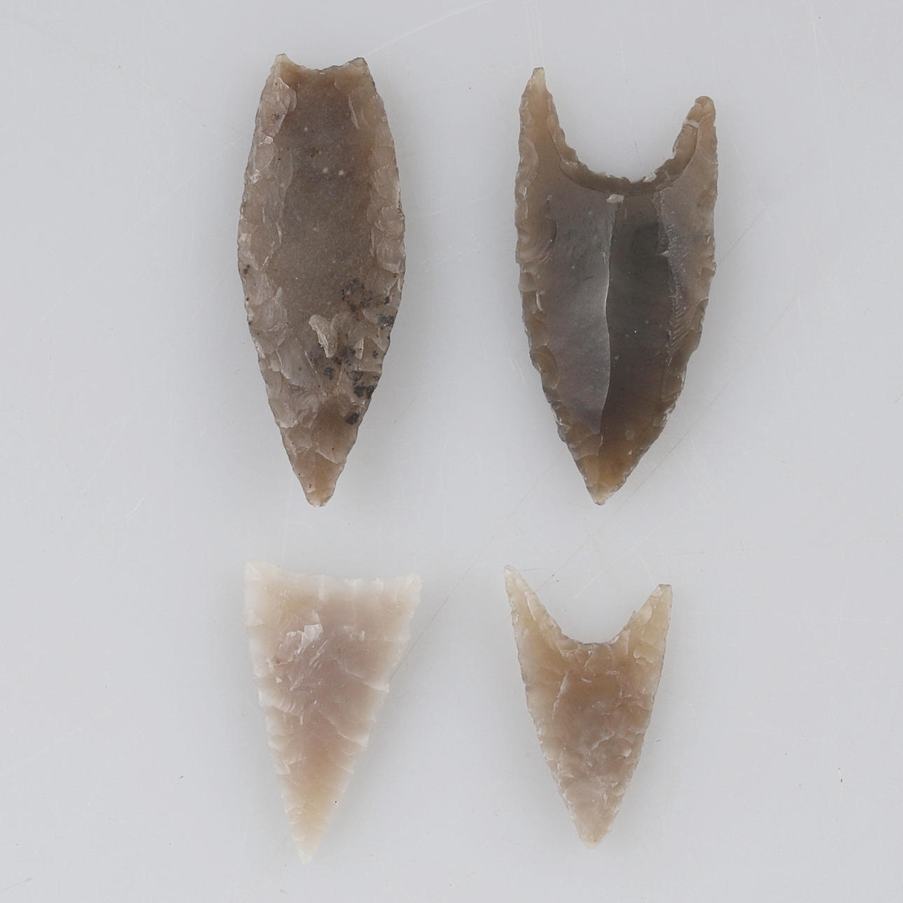 Pfeilspitzen, jüngere Steinzeit.