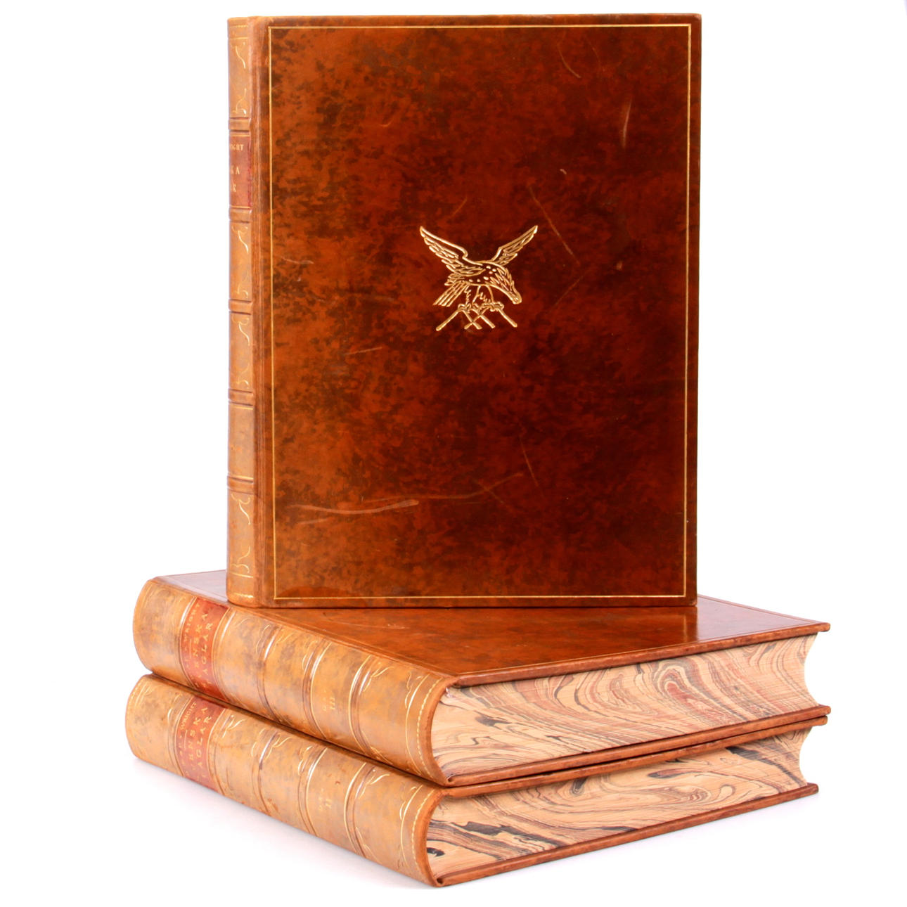 SVENSKA FÅGLAR, 3 band, M.W. &. F. von Wright.