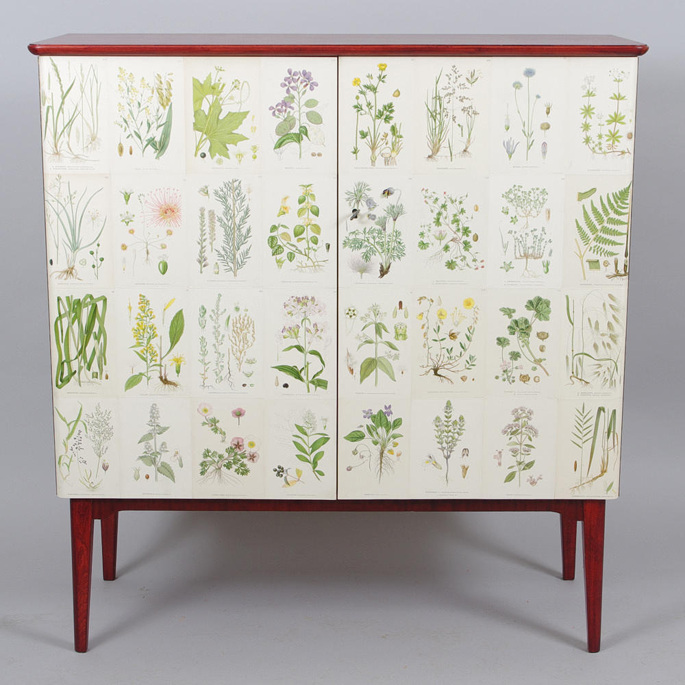 SKÅP, mahogny klätt med bilder ur, "Nordens Flora" C. A. M. Lidman.