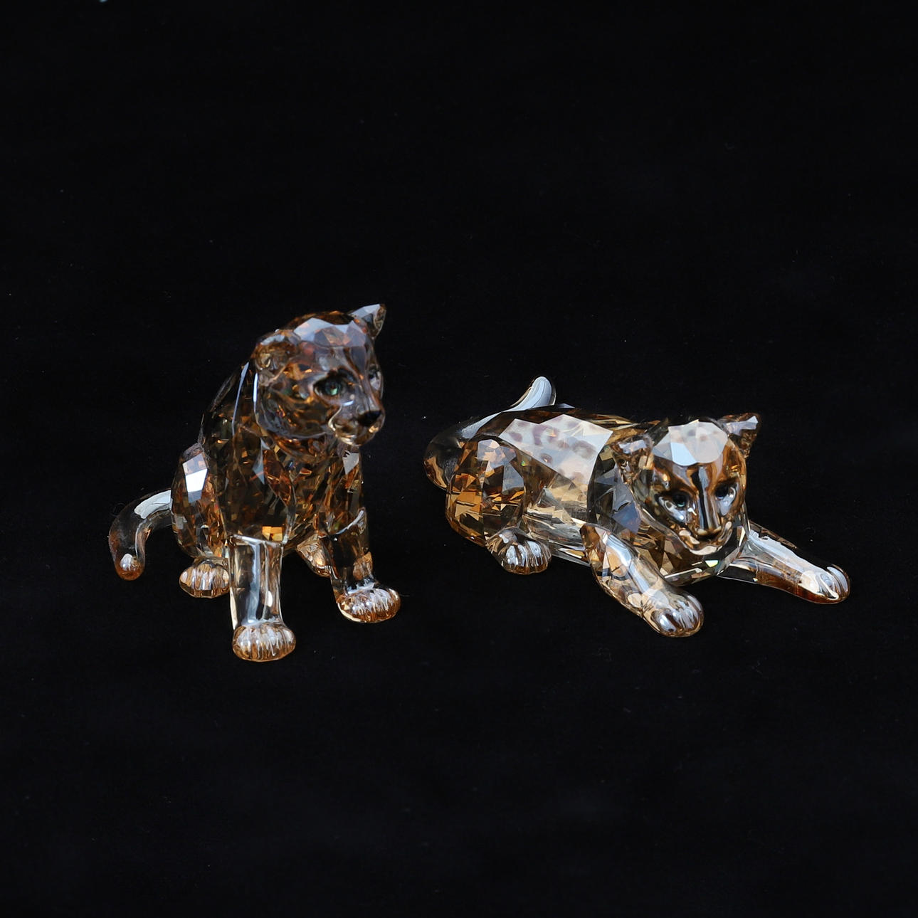 SWAROVSKI: AMUR LEOPARD UNGAR, (2019).