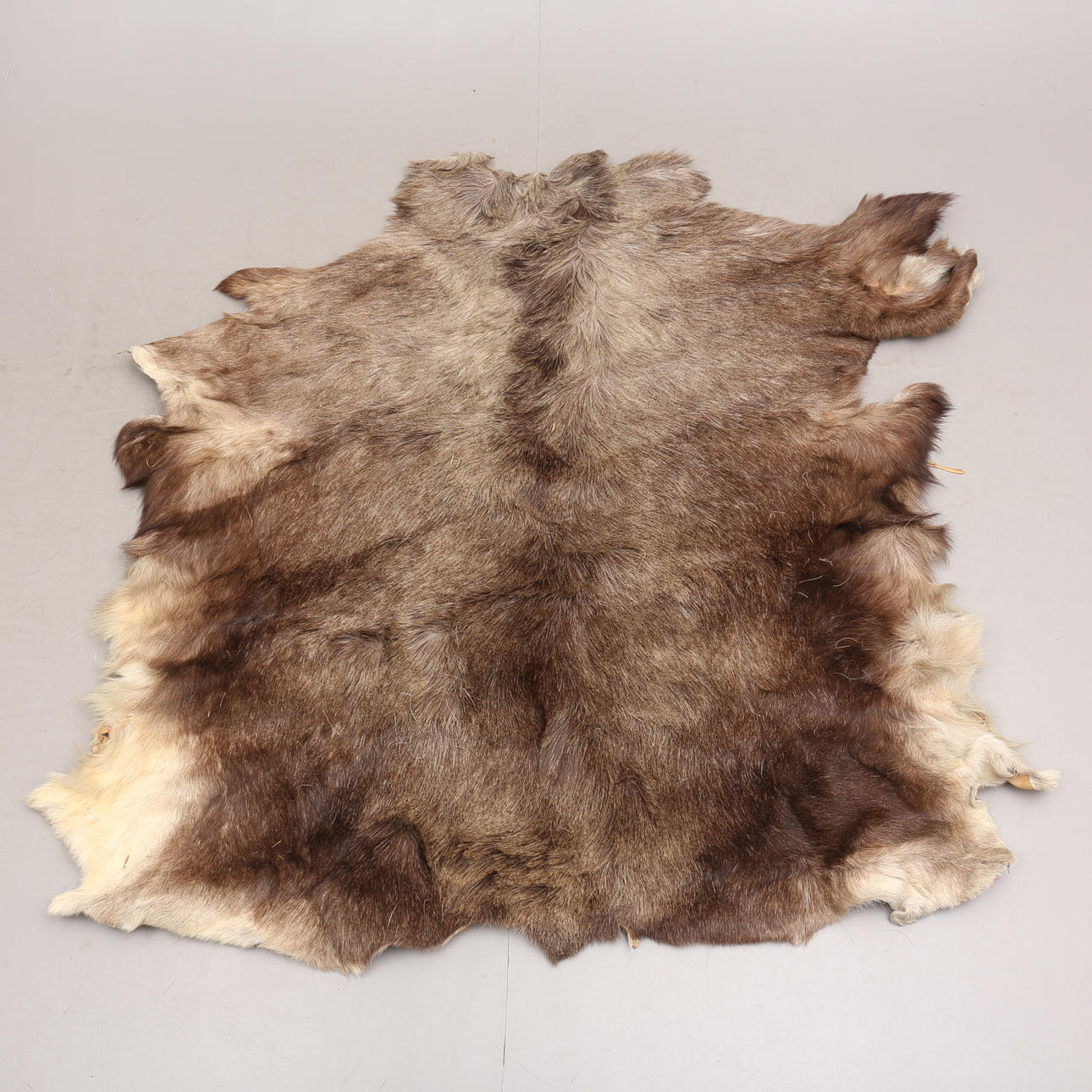 ÄLGFÄLL, 1900-tal.