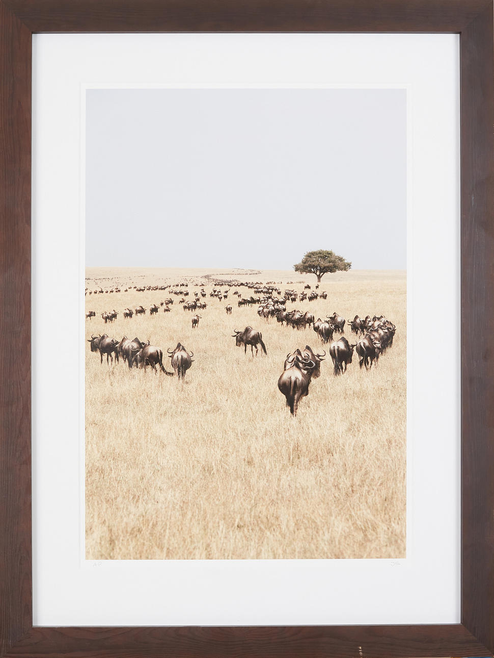 JOHAN STENKULA. Migration, pigment print, 92 x 63 cm.