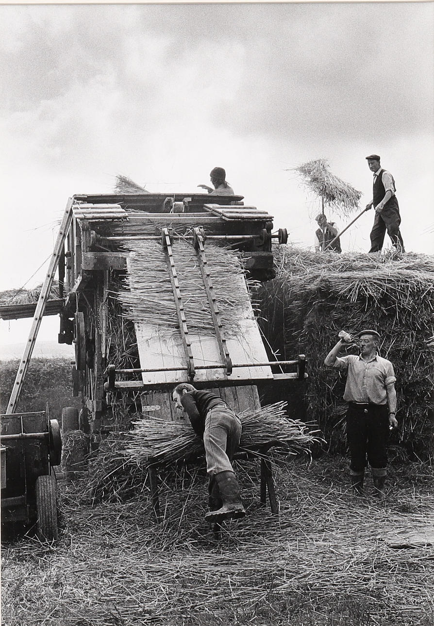 BRIAN MORTIMORE, CHAGFORD PONY SALG, DARTMOOR.