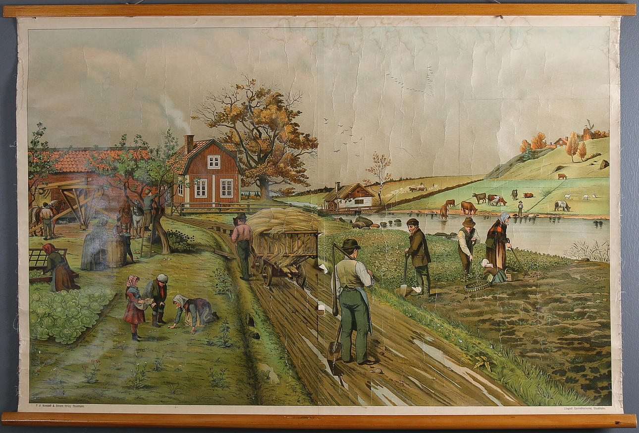 SKOLPLANSCHER, 3 st, 1900-talets första hälft.