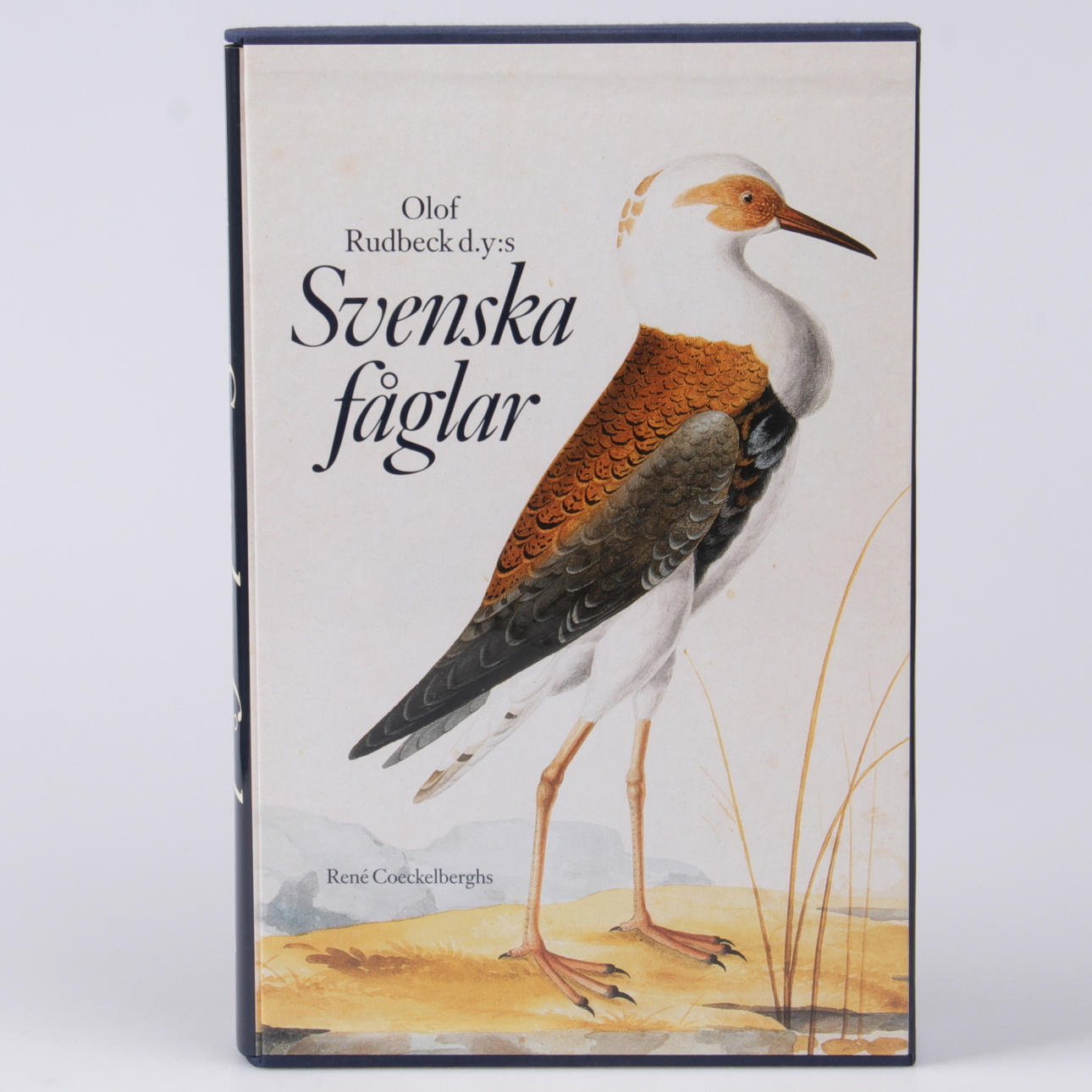 SVENSKA FÅGLAR, Olof Rudbeck den yngre.