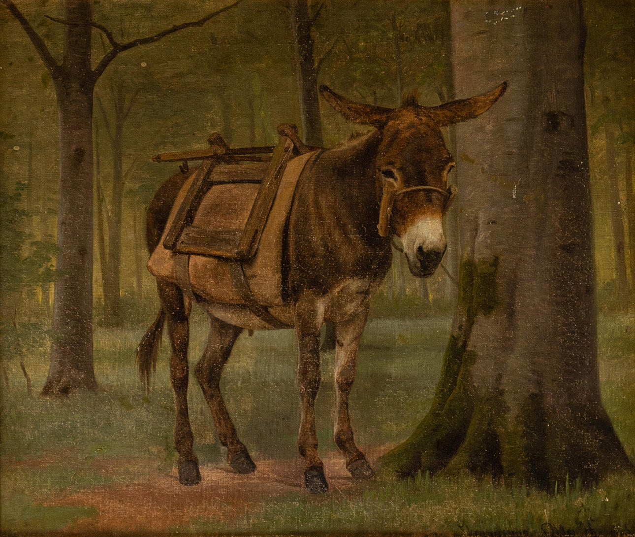 OTTO HASLUND (1842-1917). Donkey with pack saddle.