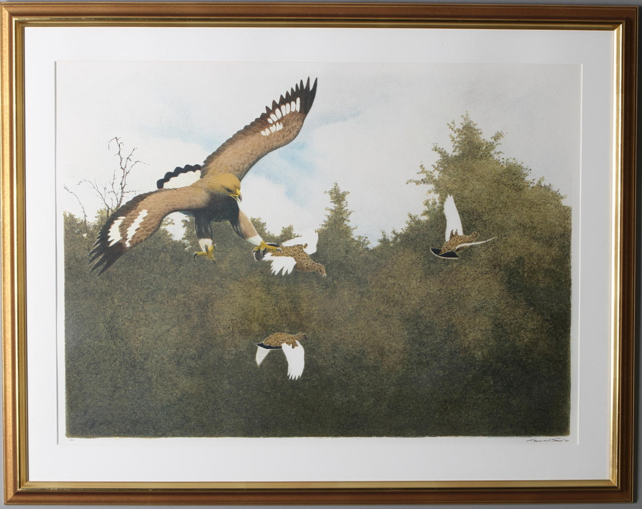 LENNART SAND. Rovfågel på jakt, färglitografi, signerad, daterad -88, provtryck.