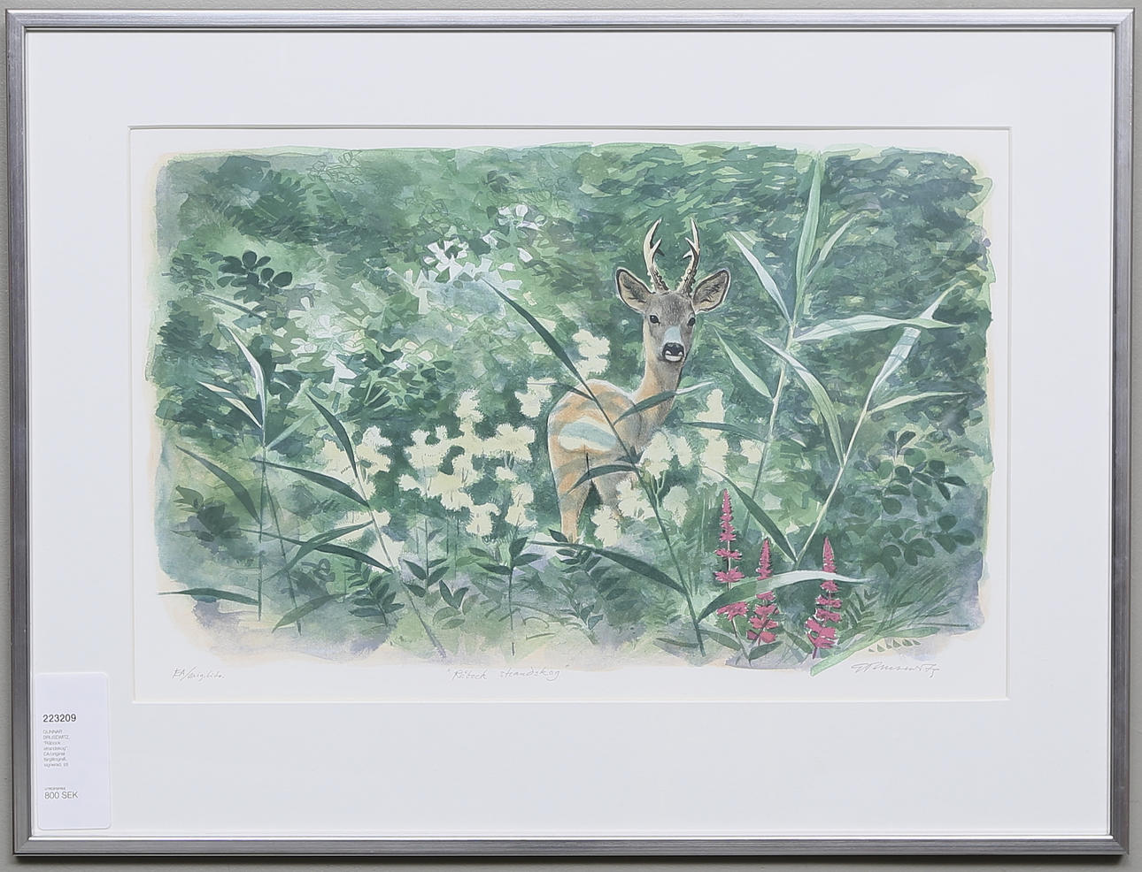 GUNNAR BRUSEWITZ. "Råbock strandskog". EA/original färglitografi, signerad.