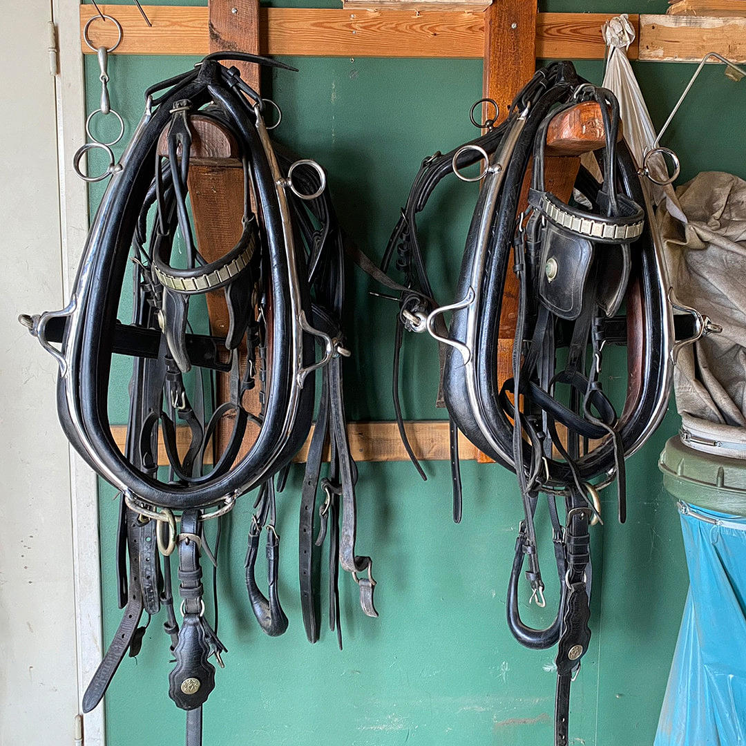 SELTYG för 2 hästar.