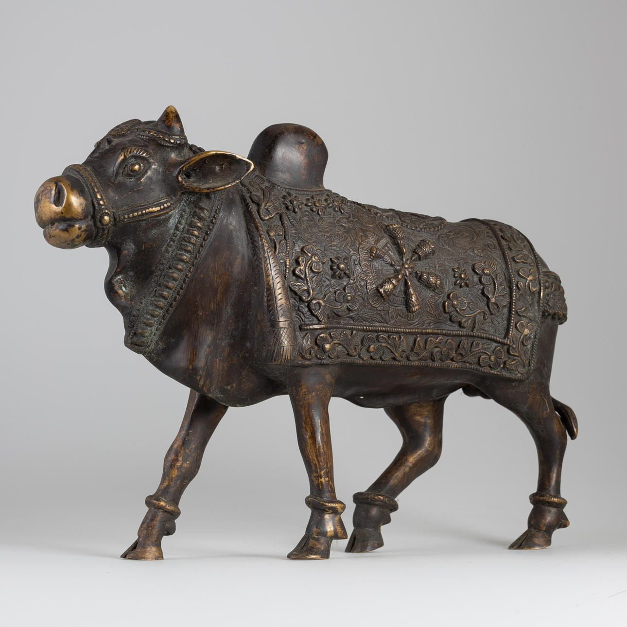 Helig ko, Nandi. Indien. 2:a Hälften av den 20: e århundrade.