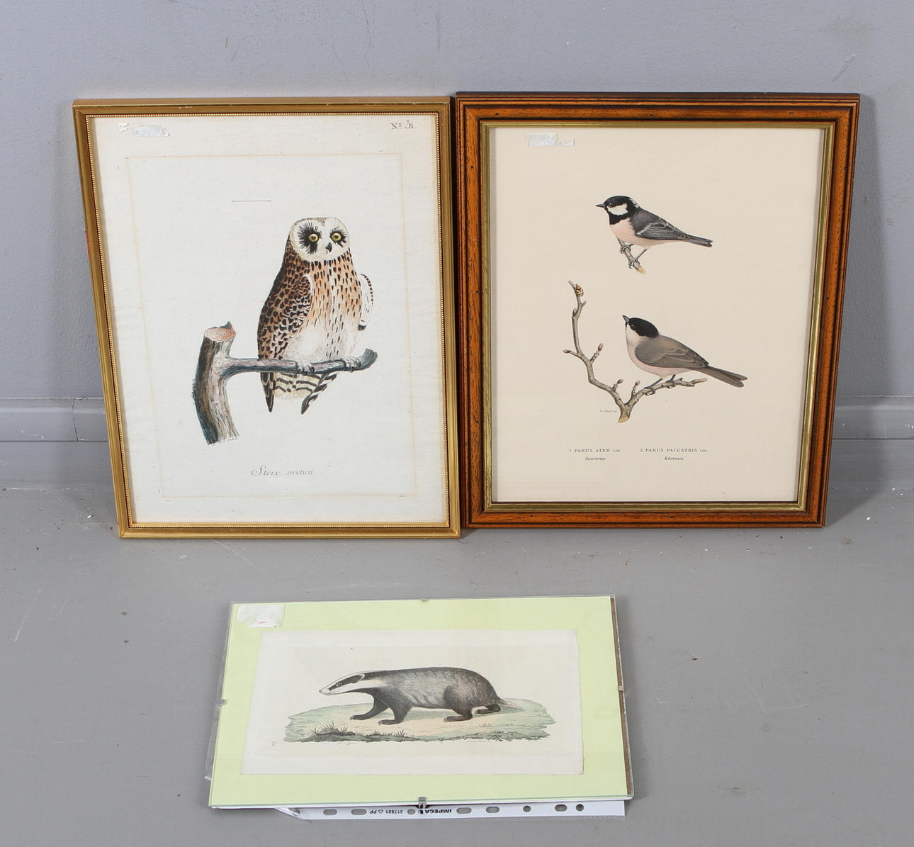 GRAVYRER OCH TRYCK, 3 st, fåglar samt grävling, 1800/1900-tal.