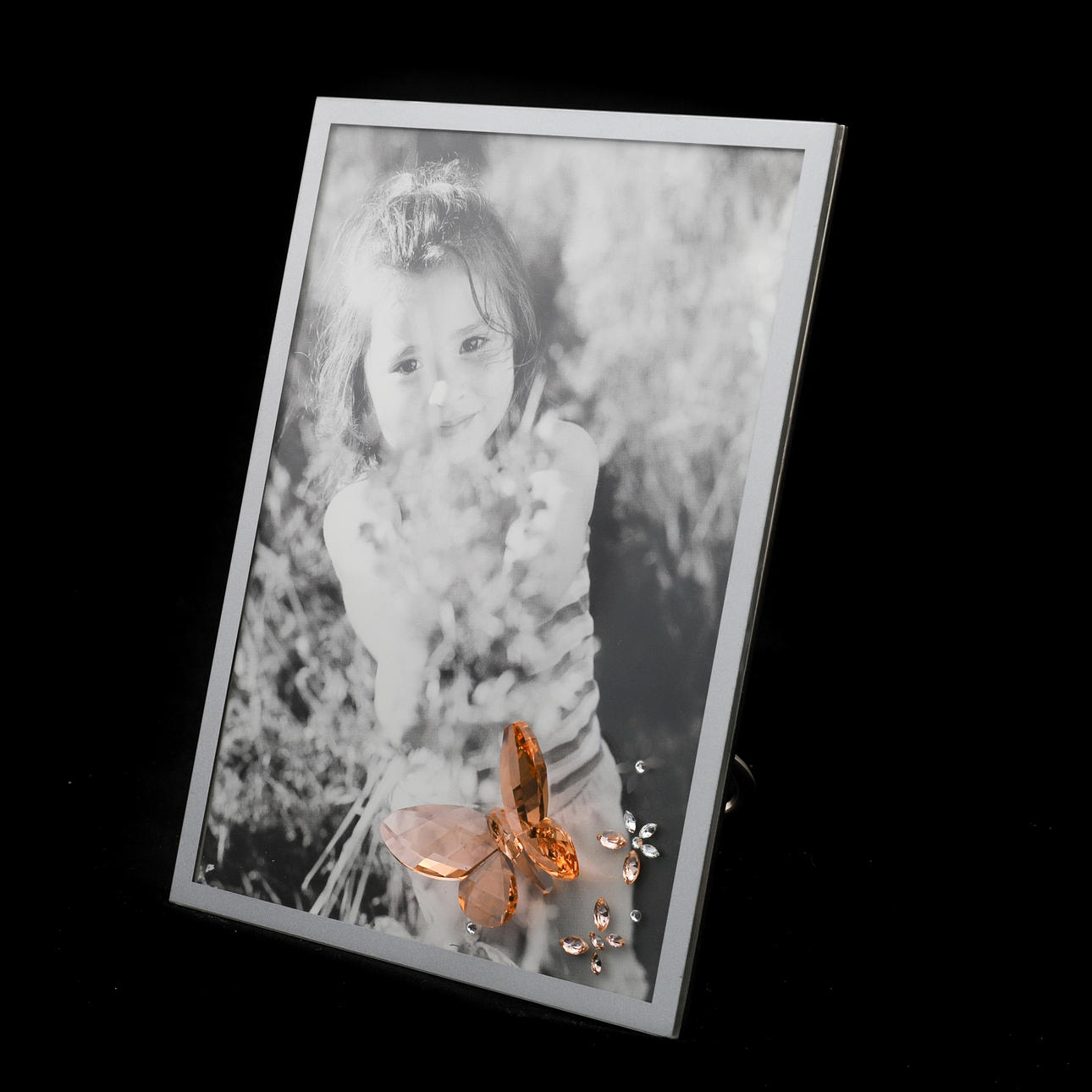 SWAROVSKI - BILDERRAHMEN - SCHMETTERLING.