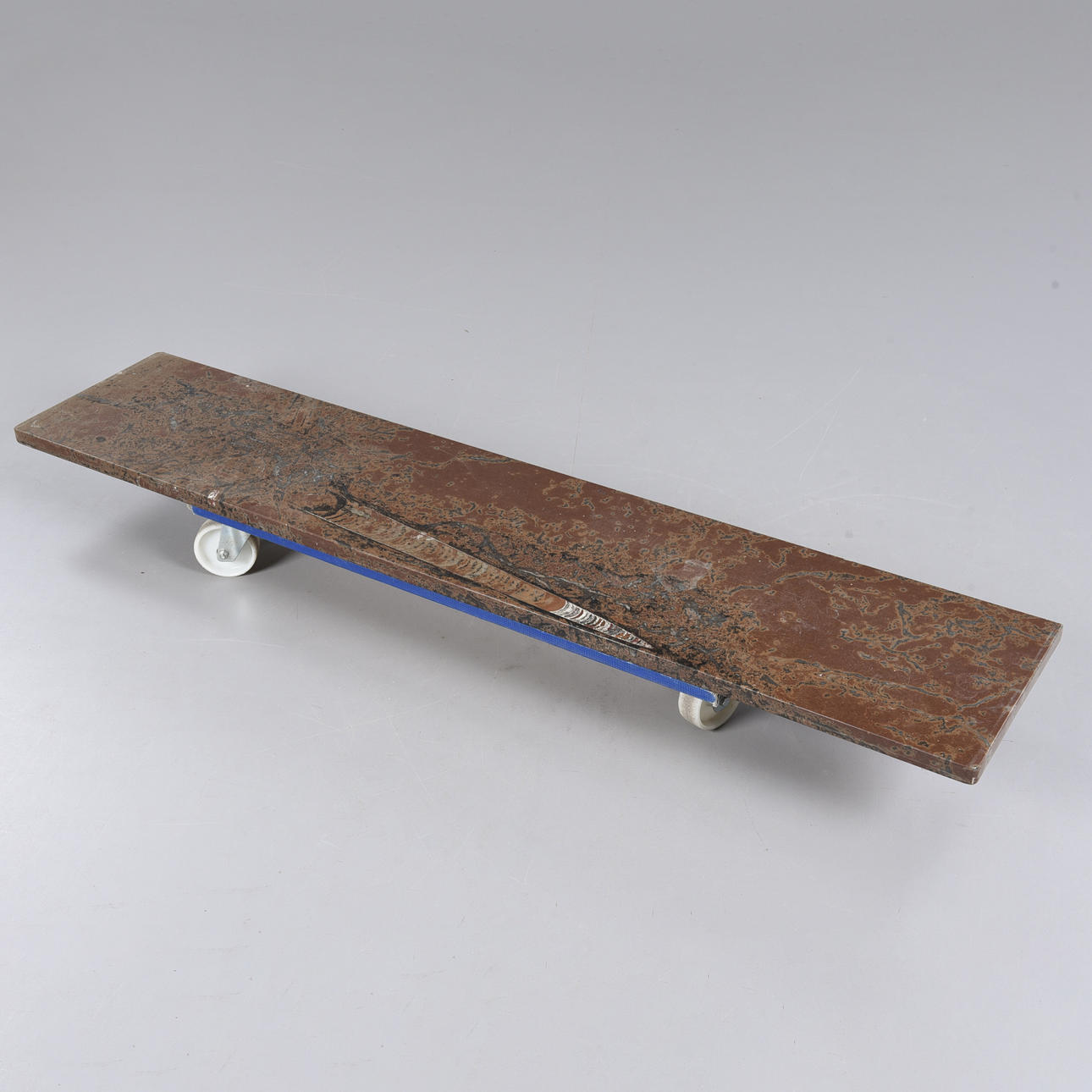 DISCO, piedra caliza con fósiles.