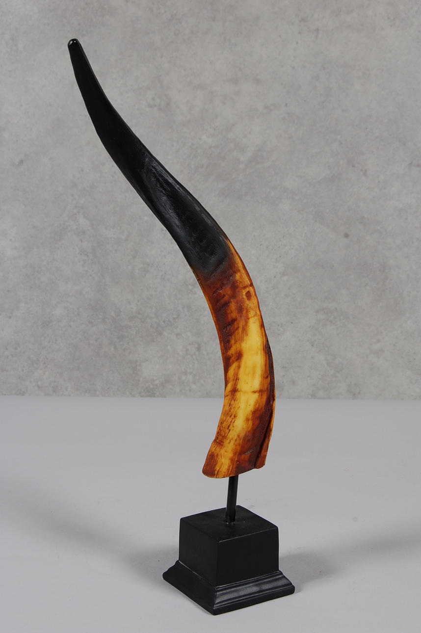 ANTILOPHORN PÅ FOT.