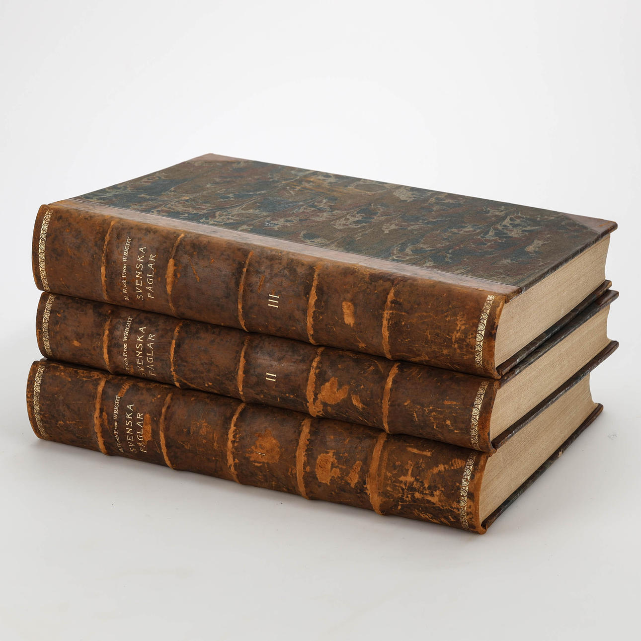 BÖCKER. von Wright, Svenska Fåglar I-III, 1924.