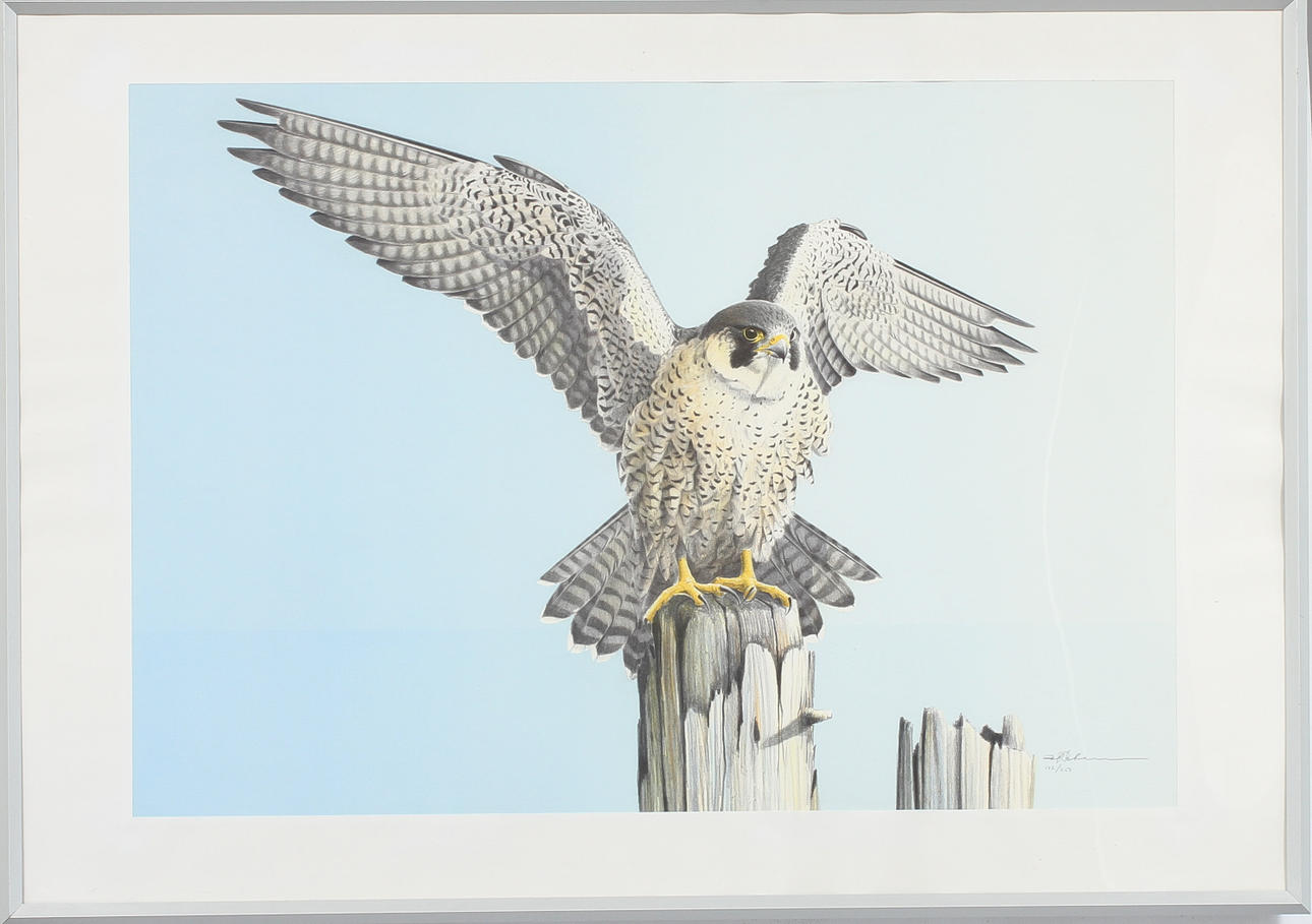 DAG PETTERSSON. Rovfågel, färglitografi, signerad och numrerad 102/250.