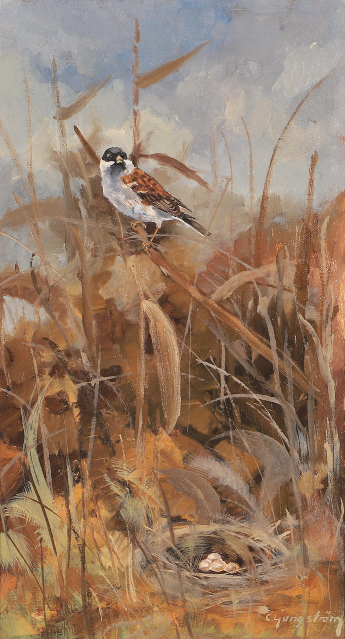 CARL ERIK LJUNGSTRÖM. "Sparrow", oil on canvas, signed CE Ljungström.