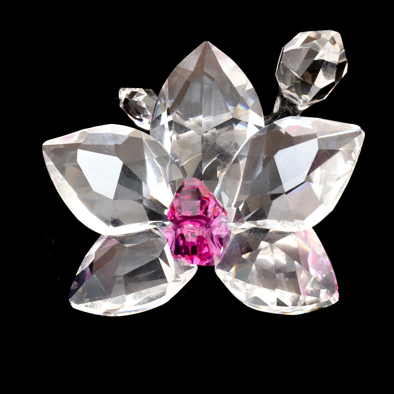 SWAROVSKI: ORCHID BLOSSOM FLOWER.