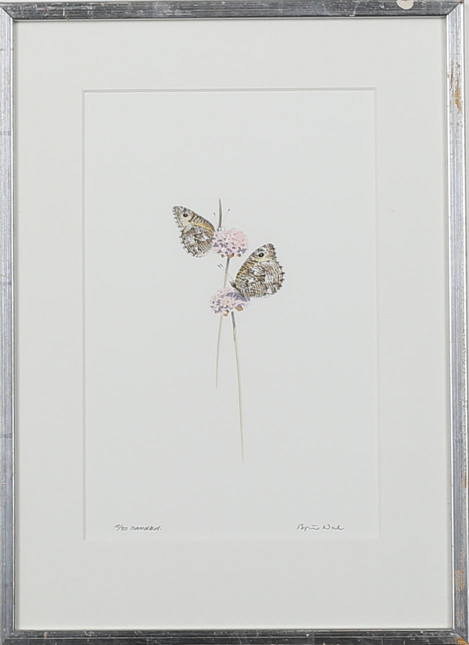 BJÖRN DALH. Fjärilar på blommor, handkolorerad färglitografi, signerad och numrerad 10/80.