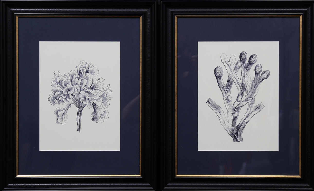 TAVLOR, 2 st, nya, Newport.