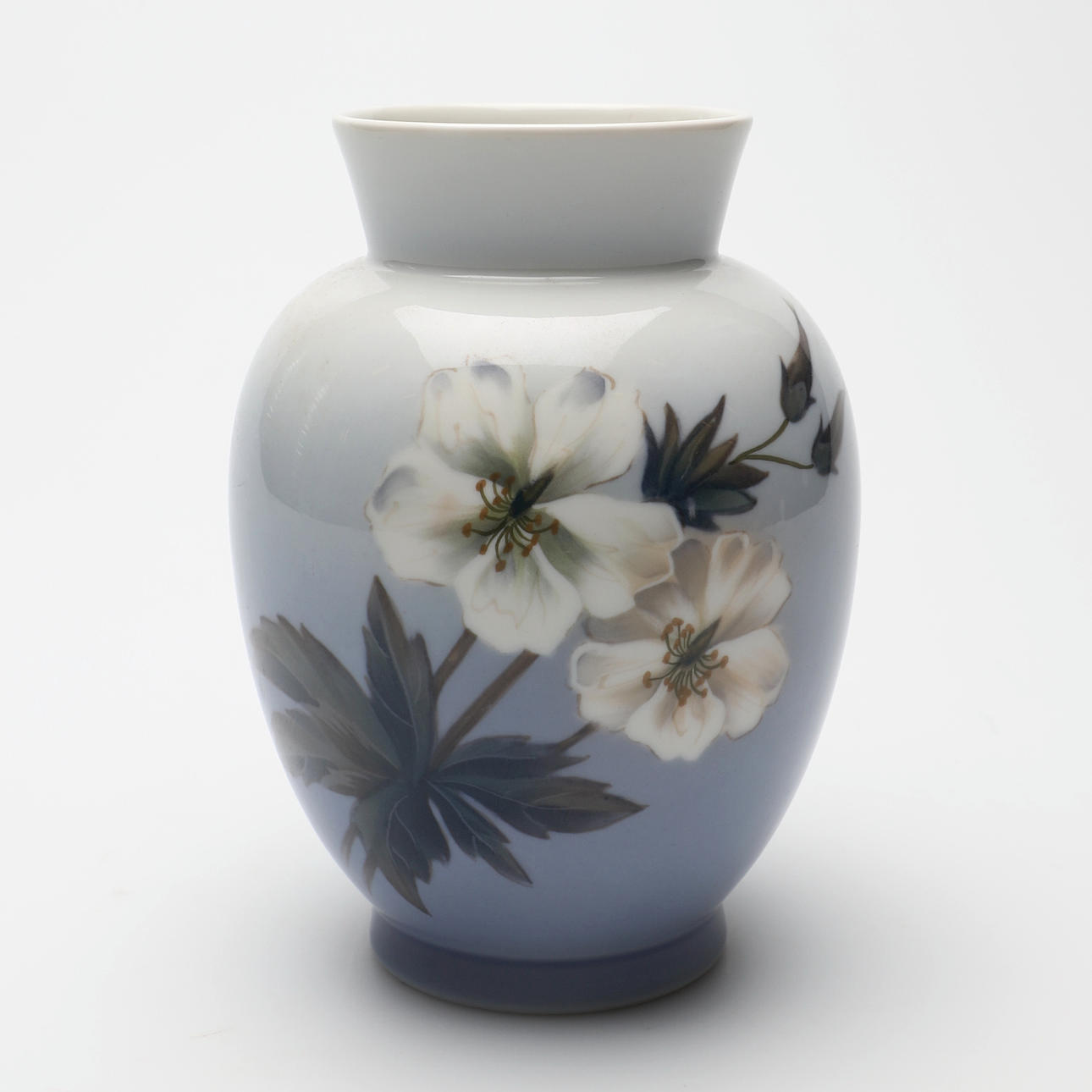 VAS, anemones, Royal Copenhagen, Denmark.