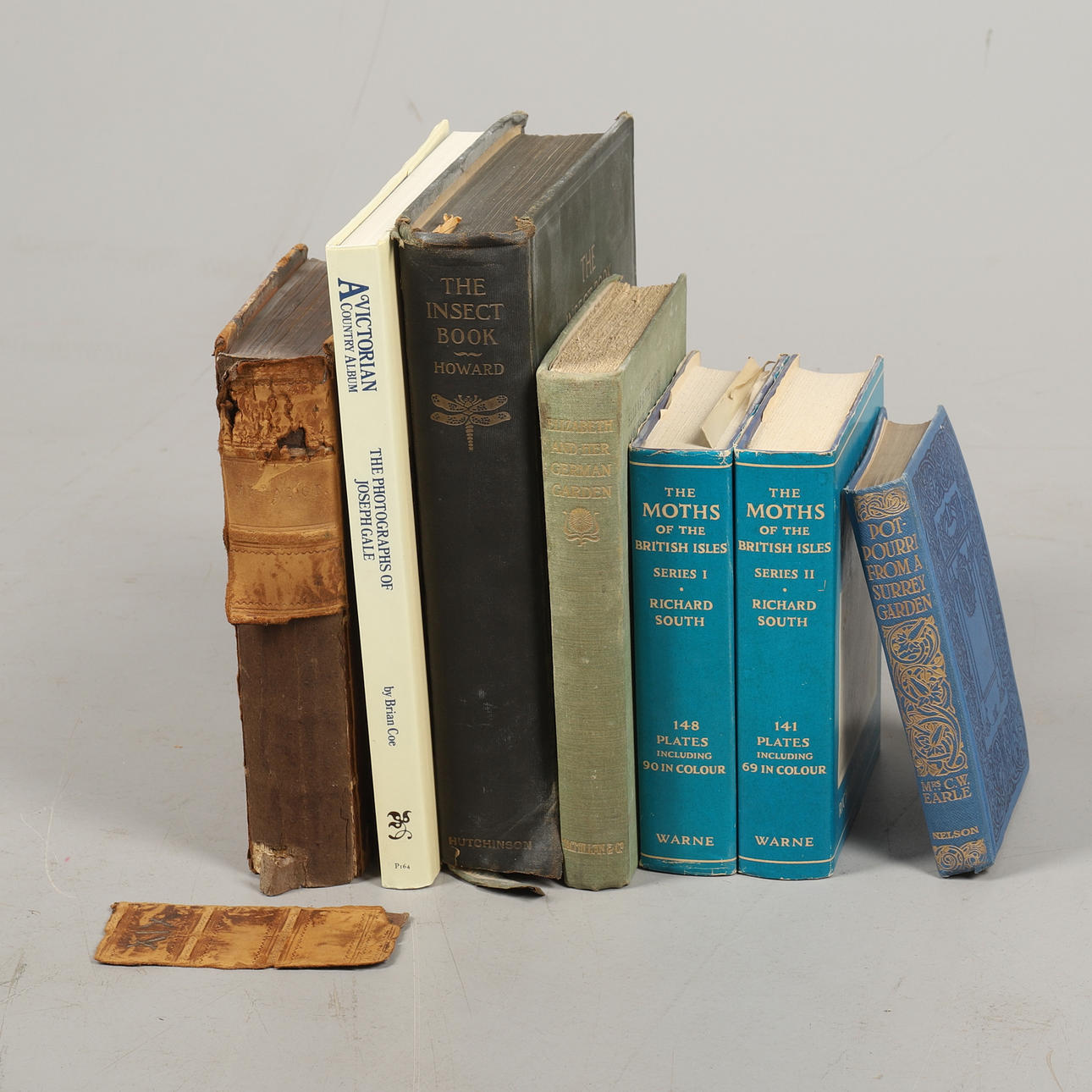 MÄNGD BOK OM FLORA OCH FAUNA.