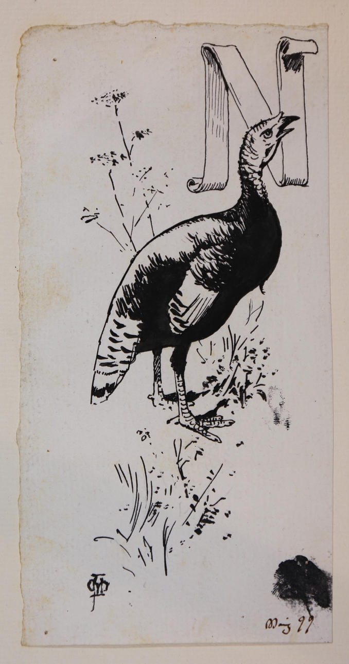 APELES MESTRES. Ilustración.