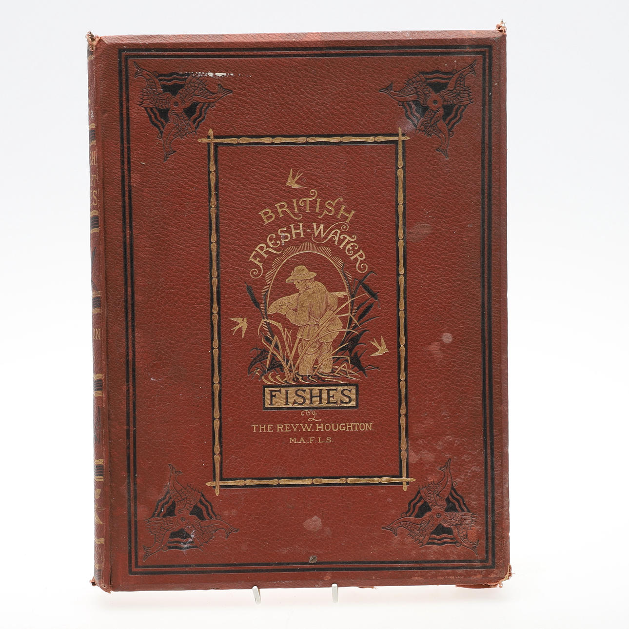 BRITTISKA SÖTVATTENSFISKAR.