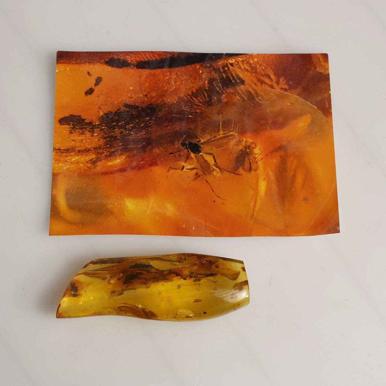 PIEDRA AMBAR, probablemente con insecto.