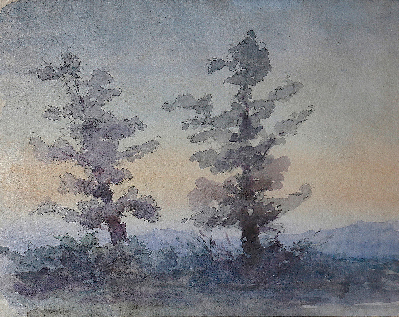 MODEST TEIXIDOR. Landscape.